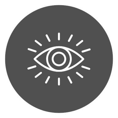 Vision Icon